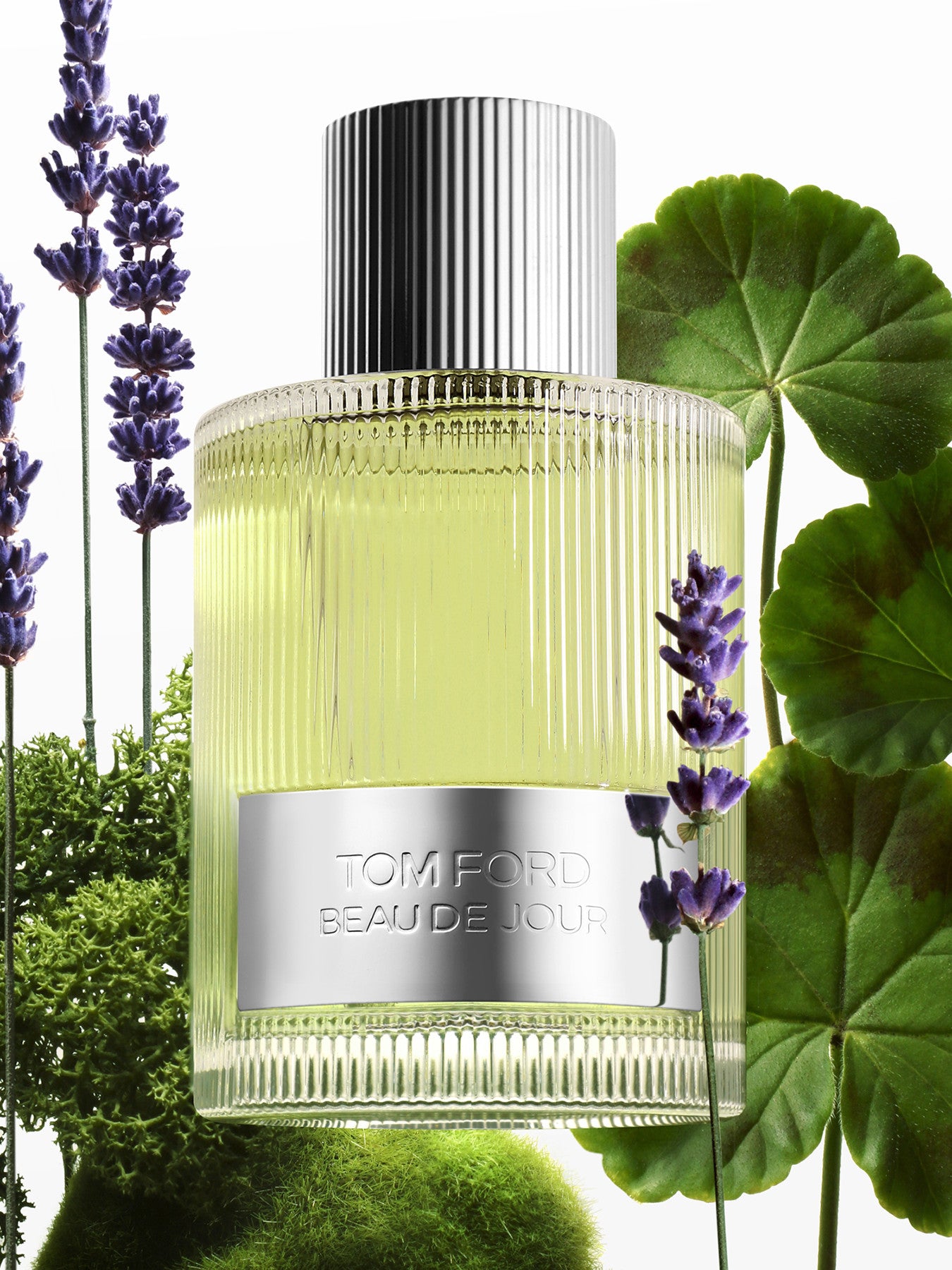 Beau de Jour Eau de Parfum 100ml