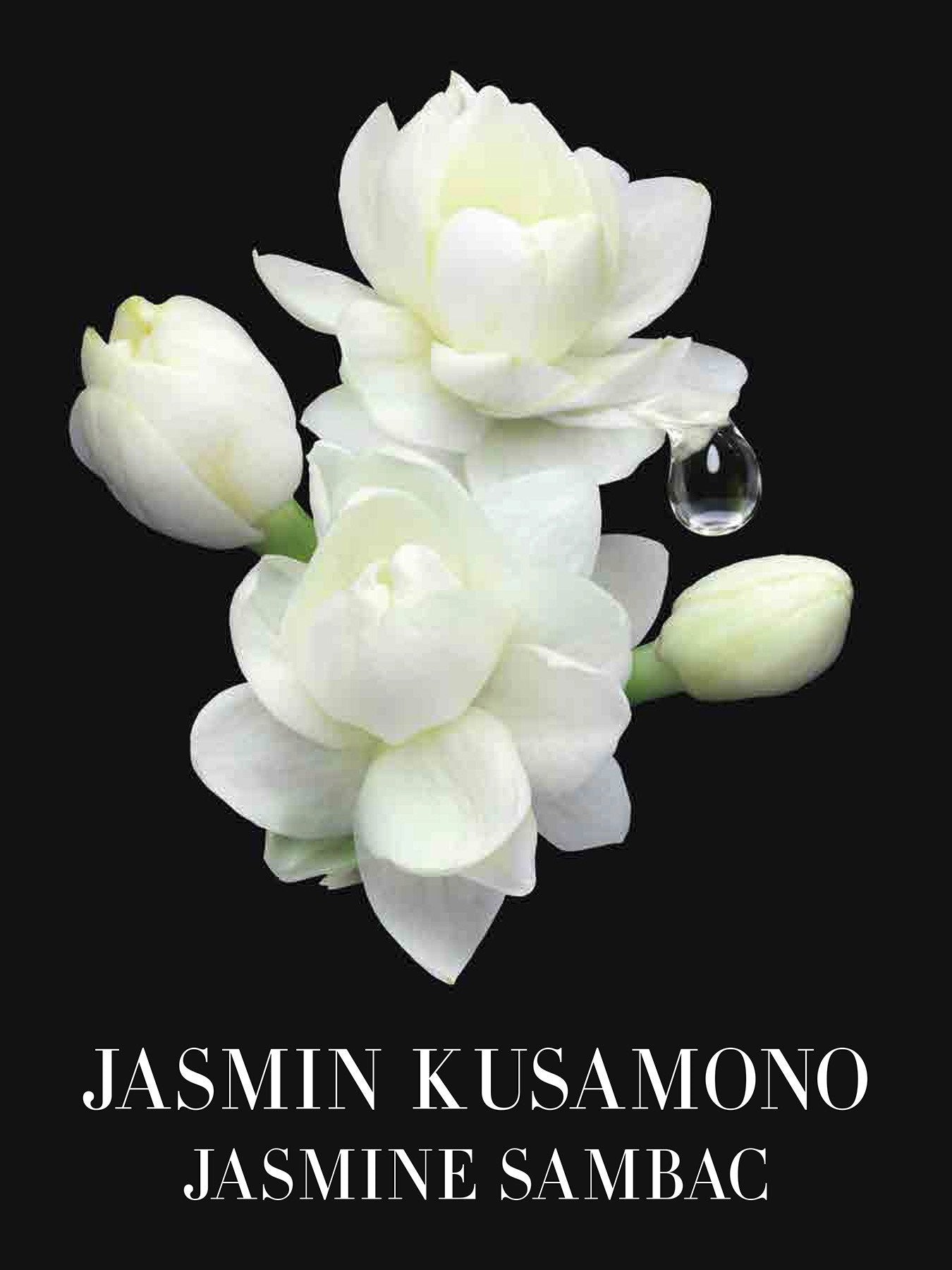 Privé Jasmin Kusamono Eau De Toilette 50ml
