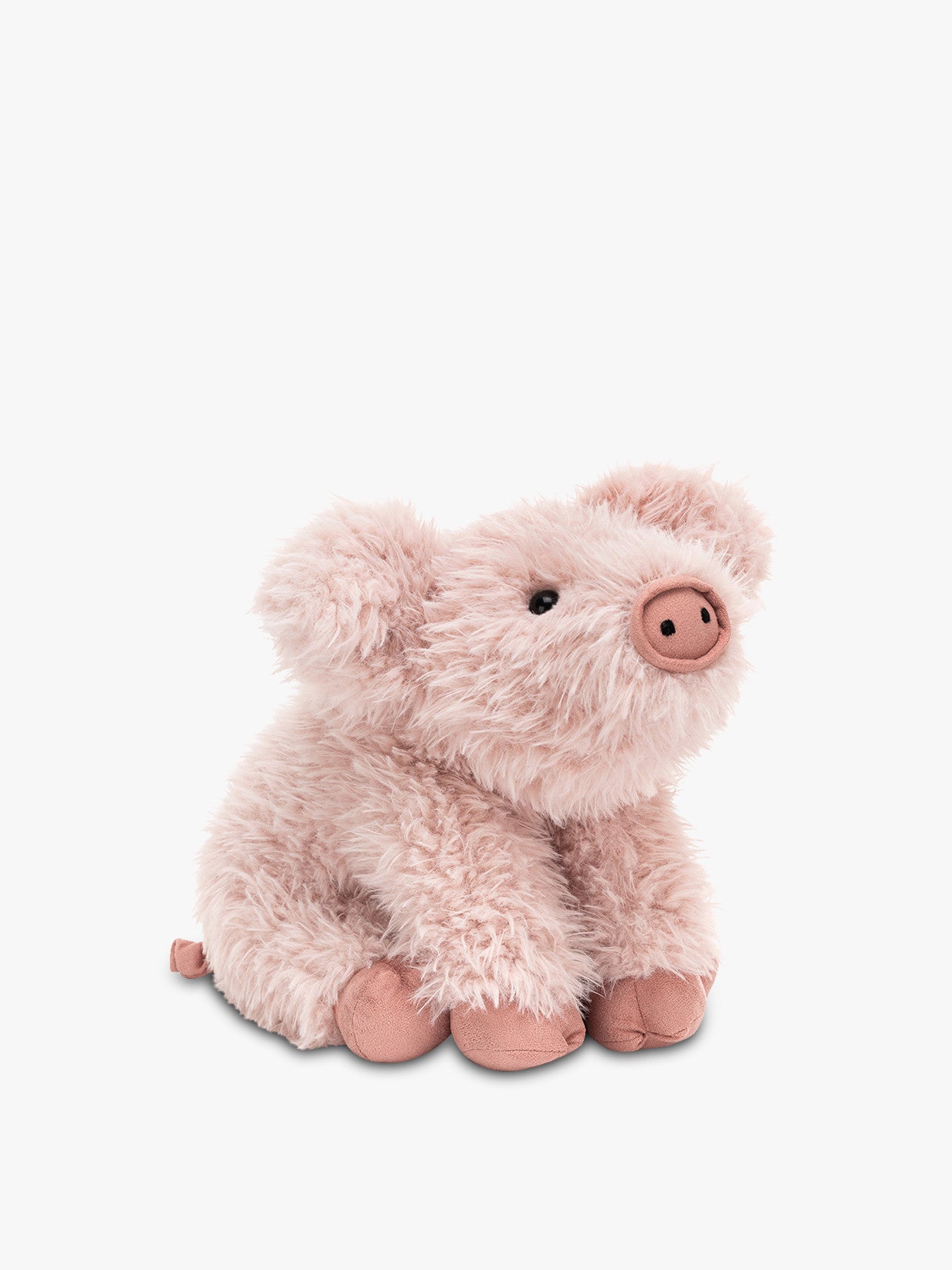 Curvie Pig