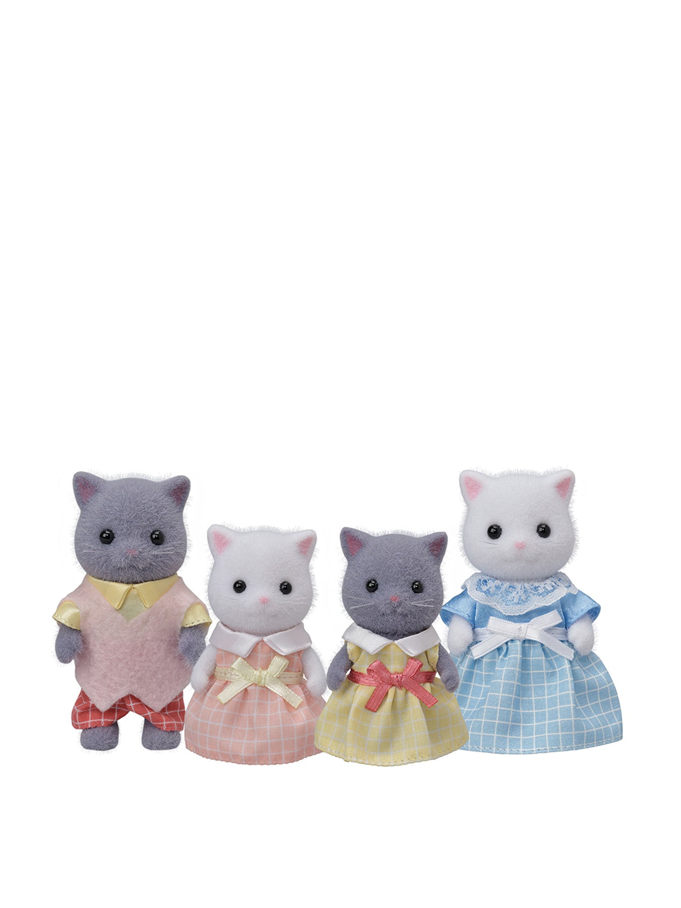 Persian Cat Family