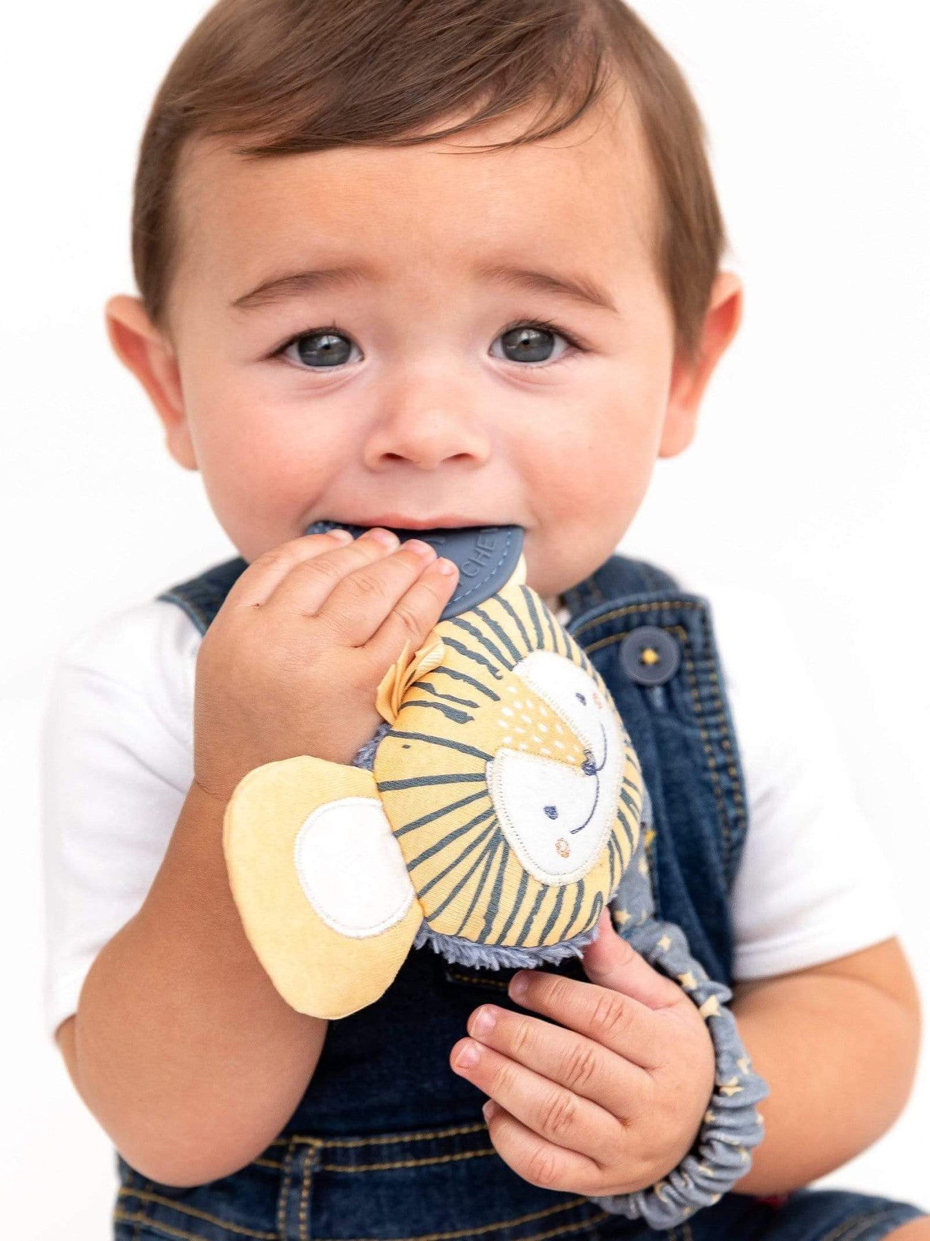 Bertie Lion Handychew