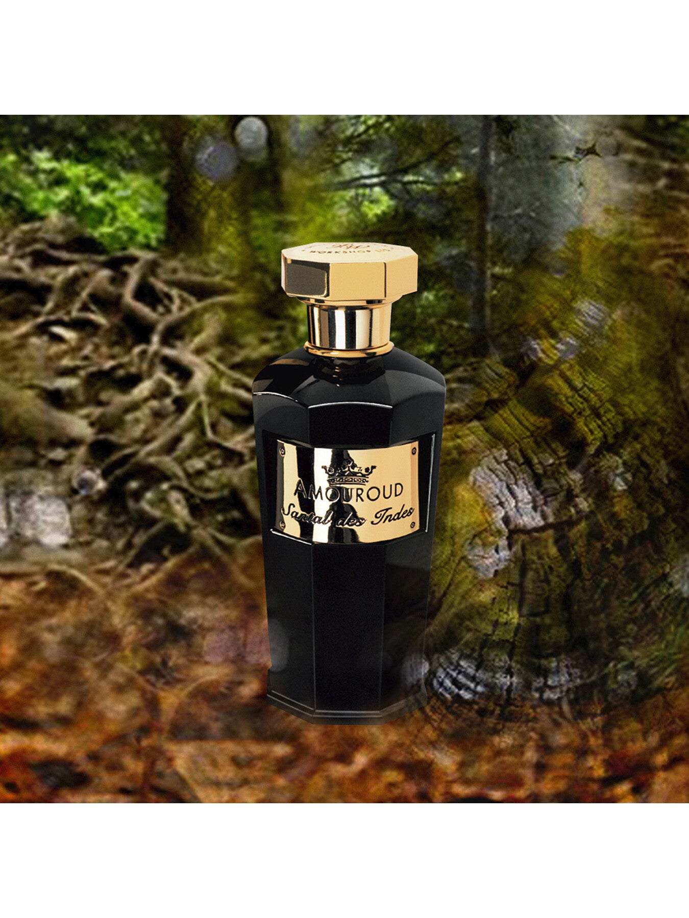 Edp 100ml Amouroud Santal Santal Des Indes Amouroud Perfume A