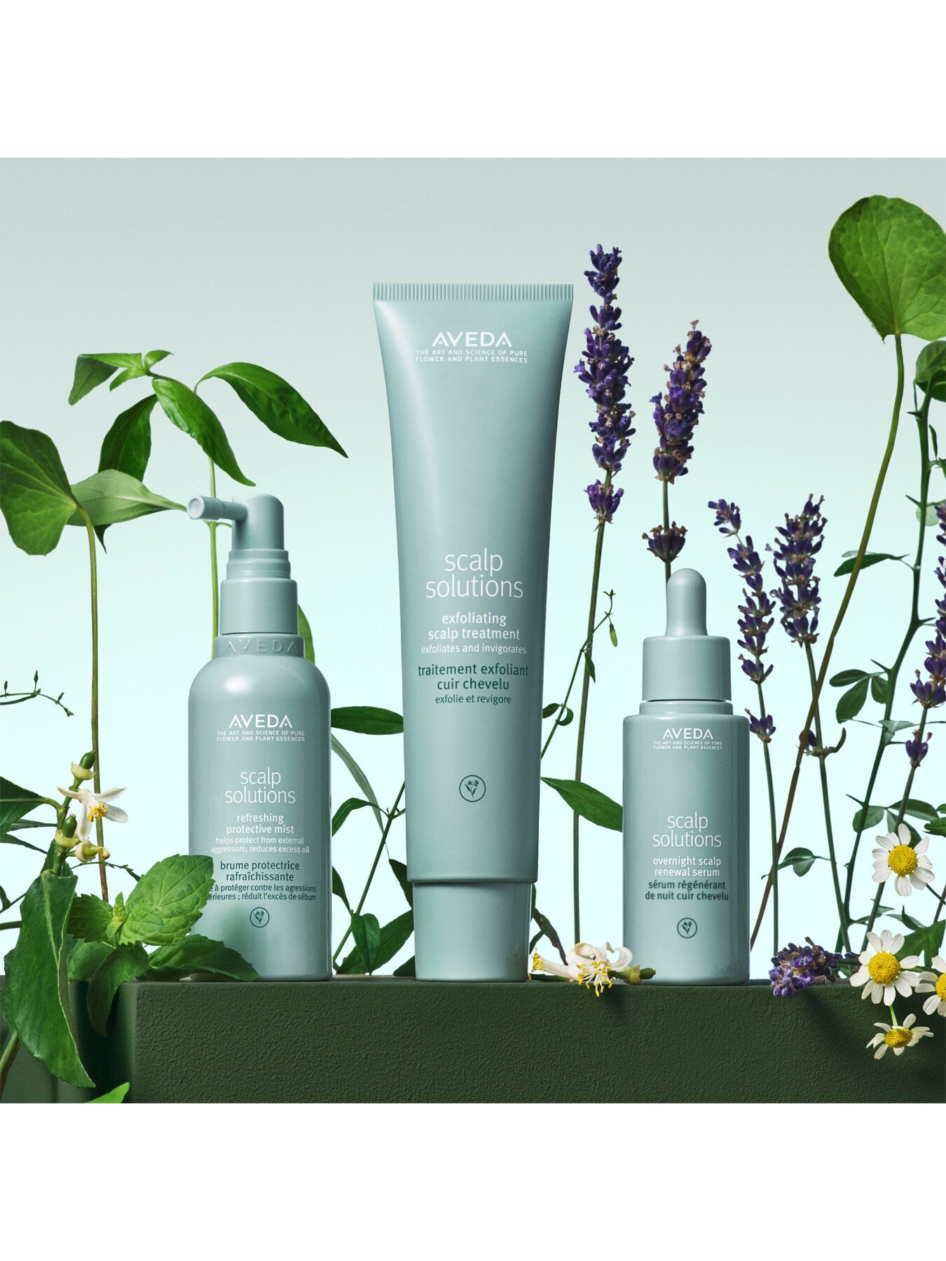 Scalp Solutions Overnight Scalp Renewal Serum with hyaluronic acid