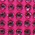 FUSHIA