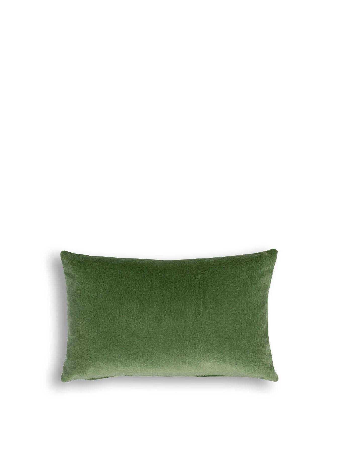 Velvet Cushion