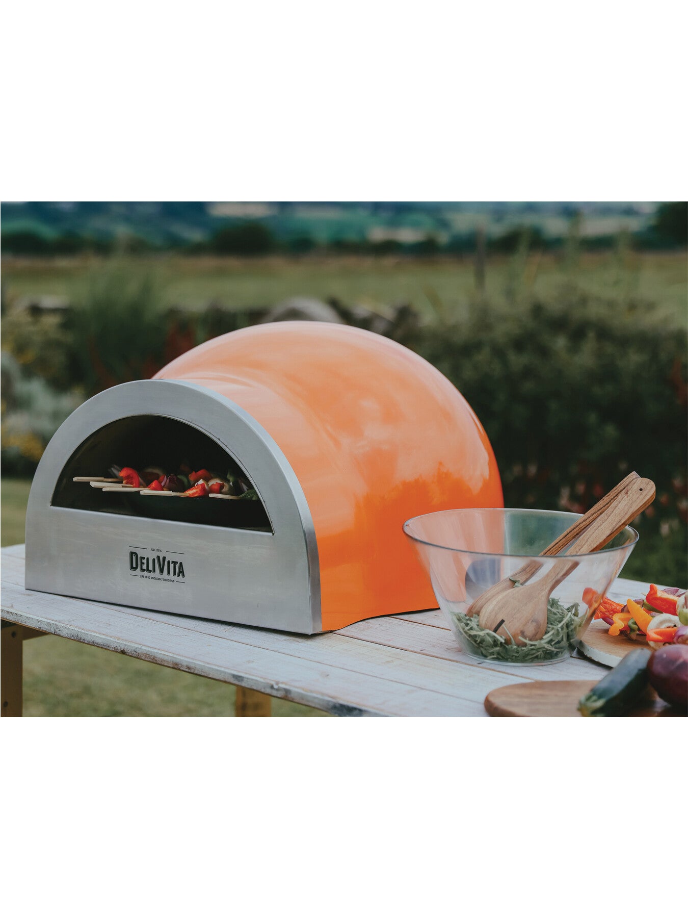 Delivita Oven Blaze