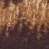 BROWN OTHER