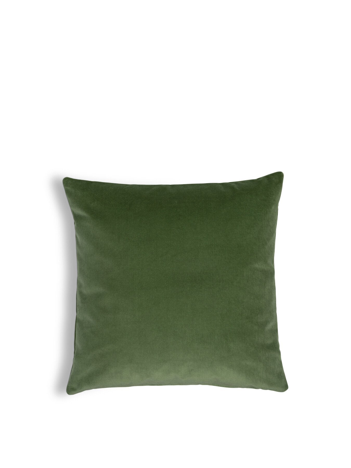Velvet Cushion Sage 55 x 55cm