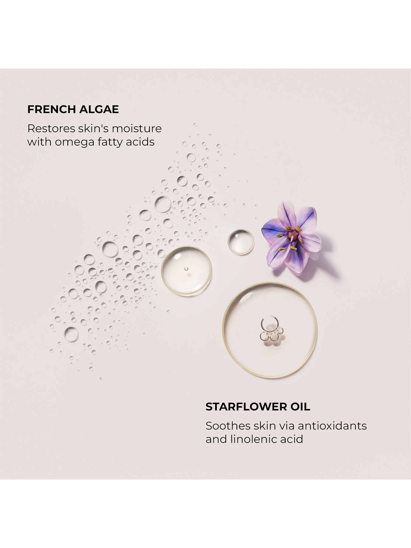 Hand Cream - Almond Coconut