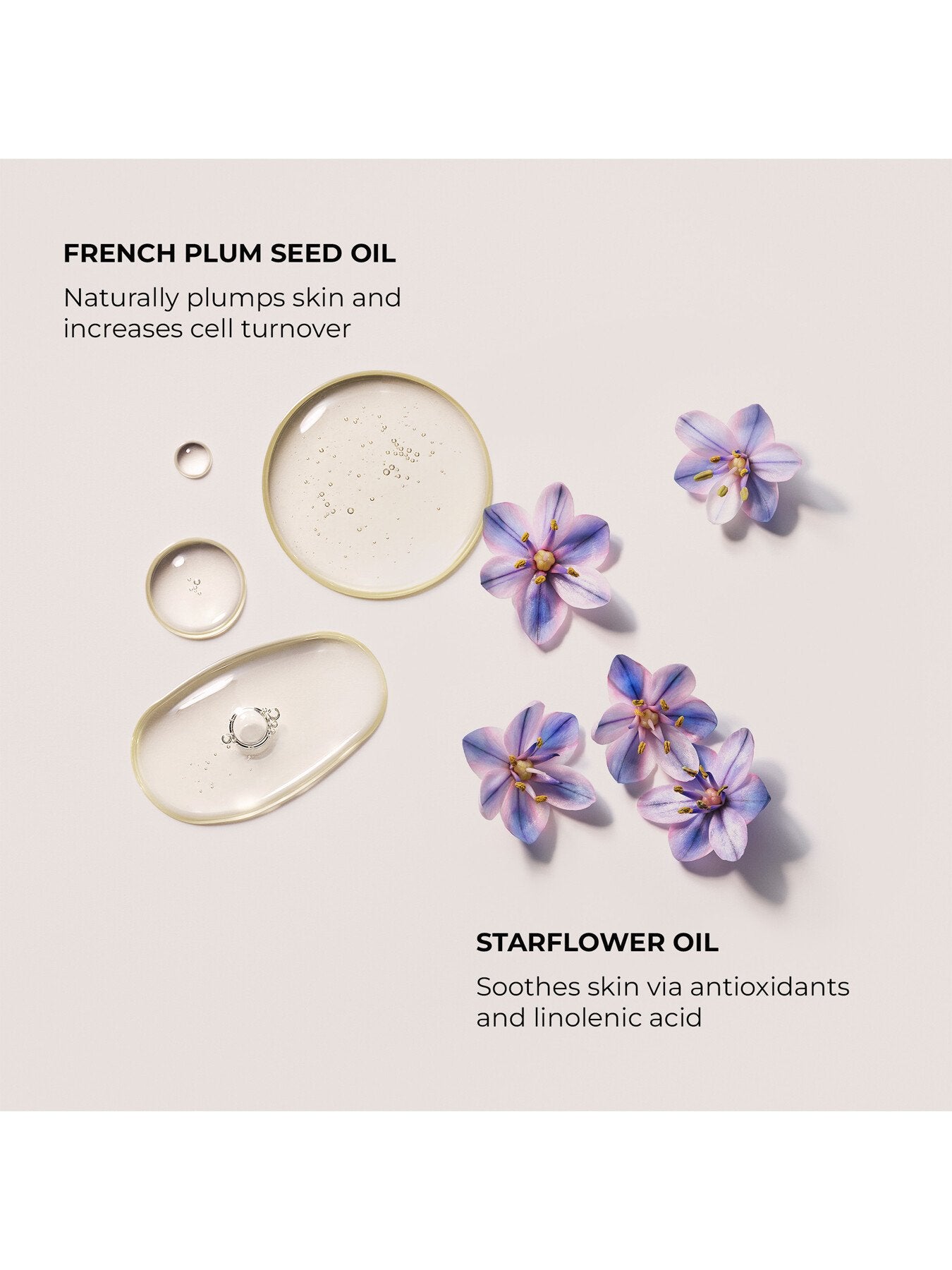 Bath Body Oil - Almond Coconut
