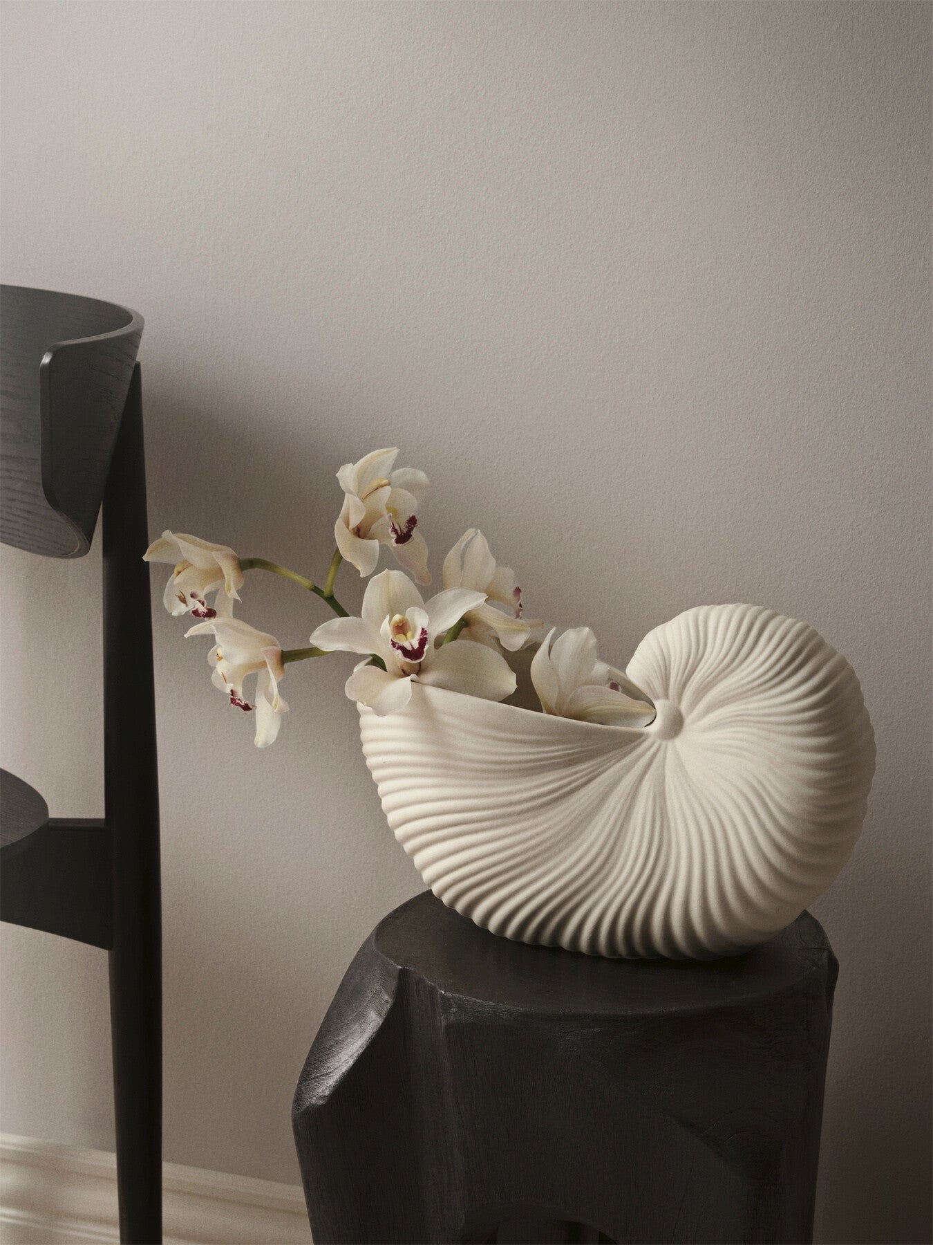 Shell Pot