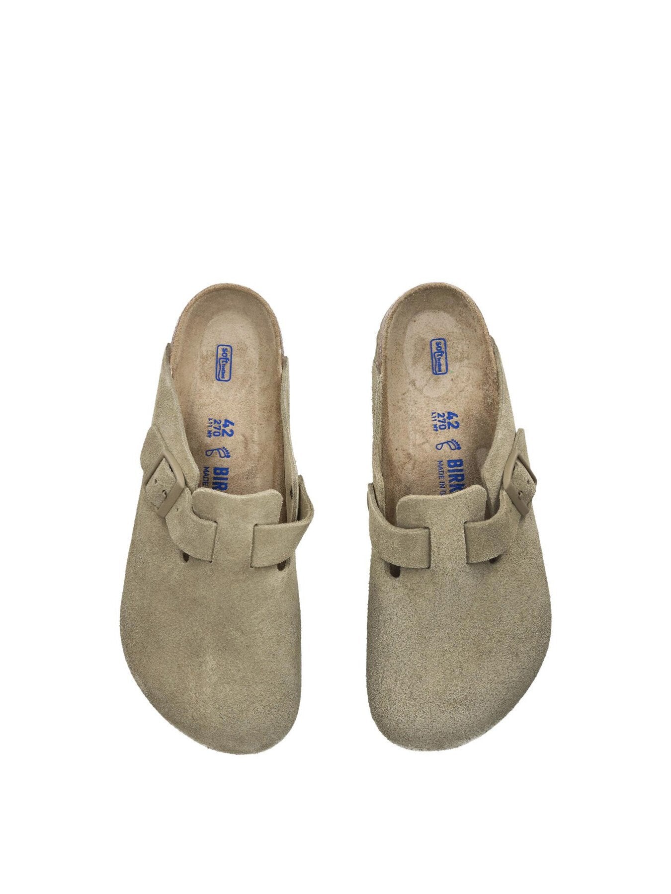 BOSTON SUEDE