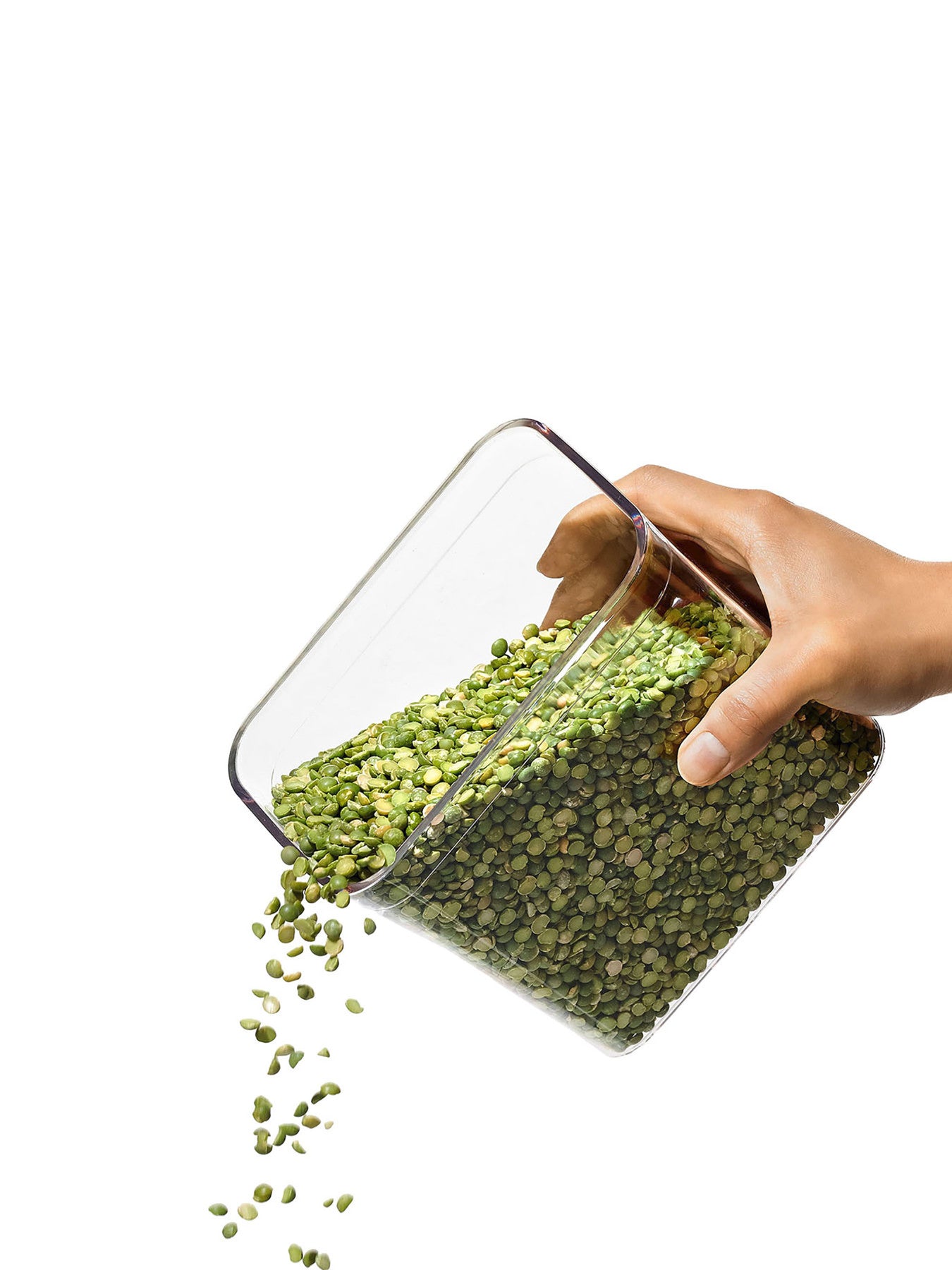 POP Container 1.6l