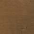 Beige - Dune
