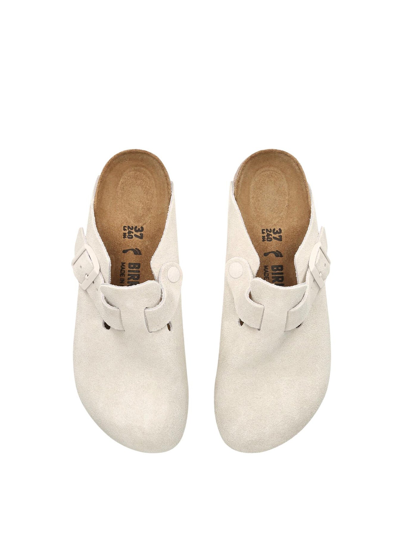 BOSTON SUEDE