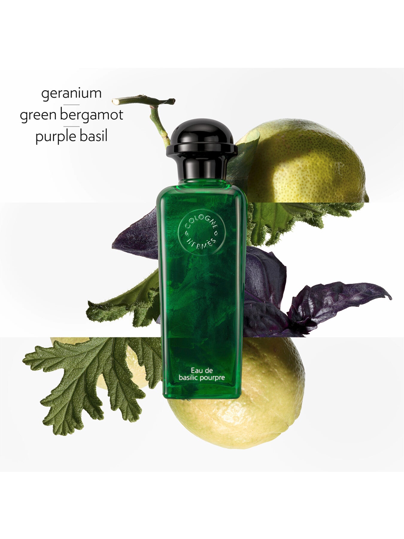 Eau de Basilic Pourpre Eau de Cologne 100ml