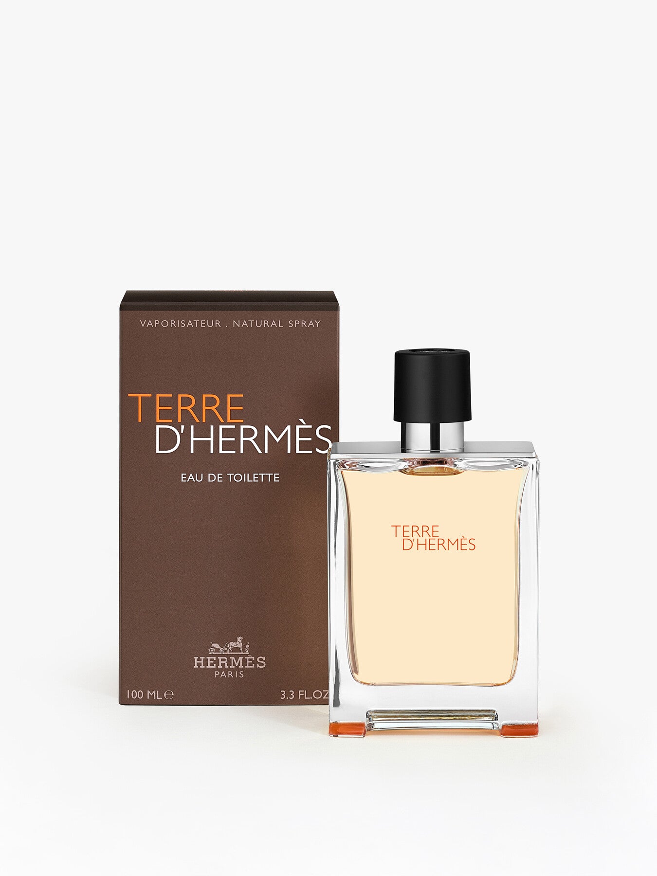 Terre dHermès Eau de Toilette 100ml