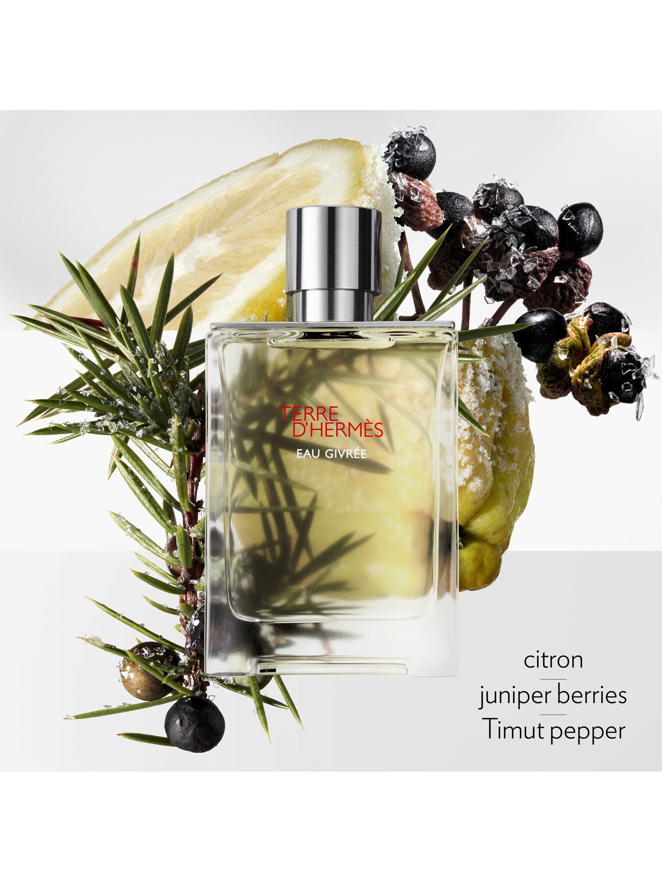 Terre dHermès Eau Givrée Eau de Parfum 125ml Refill