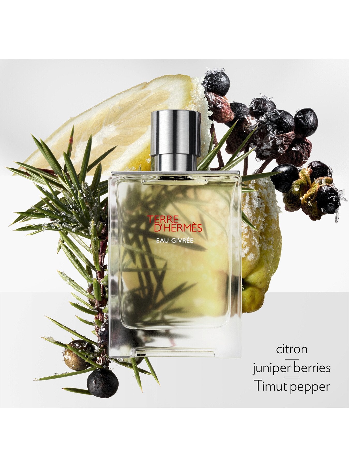 Terre dHermès Eau Givrée Eau de Parfum 50ml Refillable