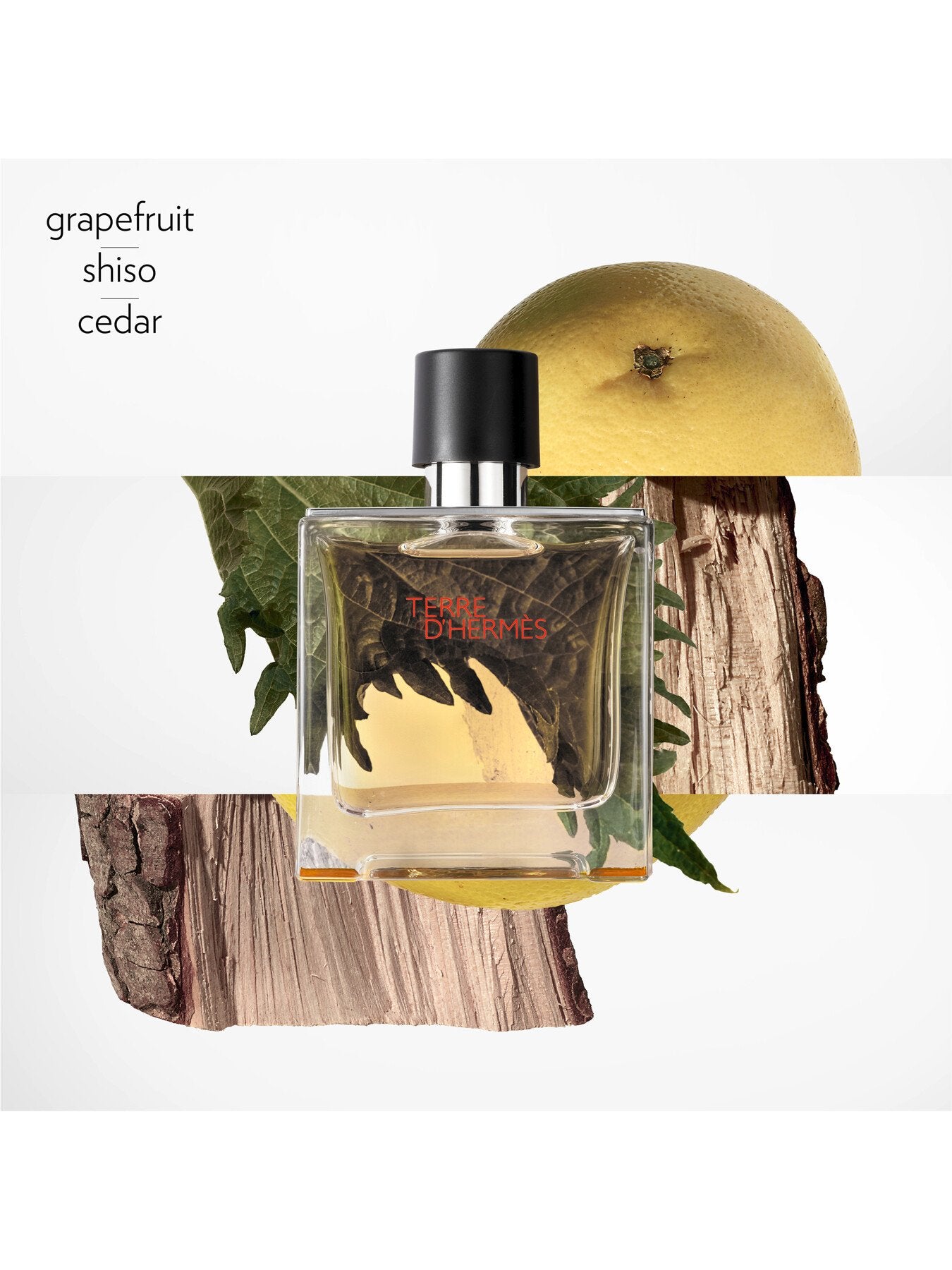 Terre dHermès Pure Perfume 75ml