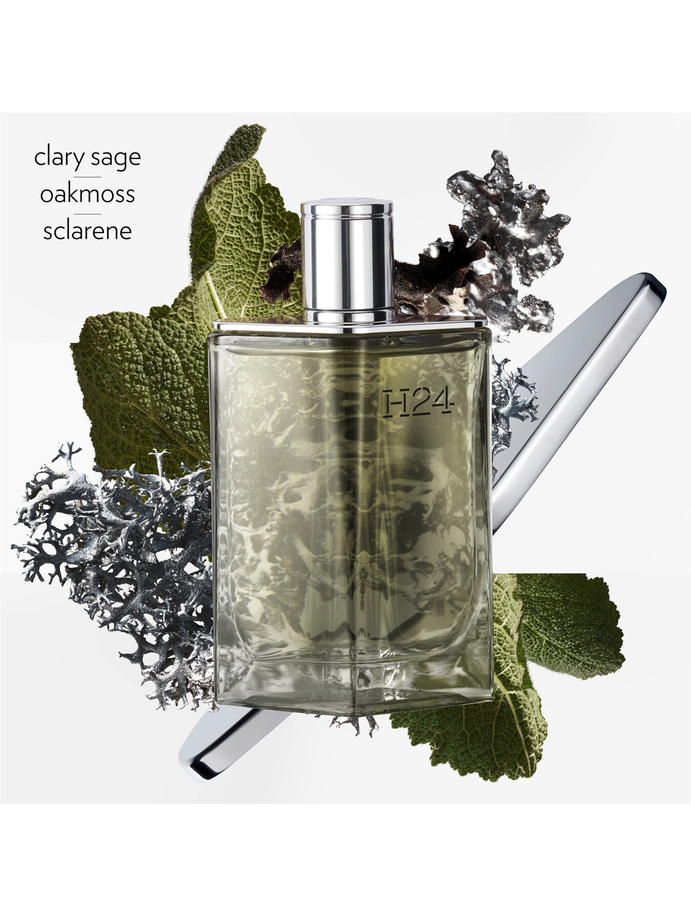 H24 Eau de Parfum 50ml
