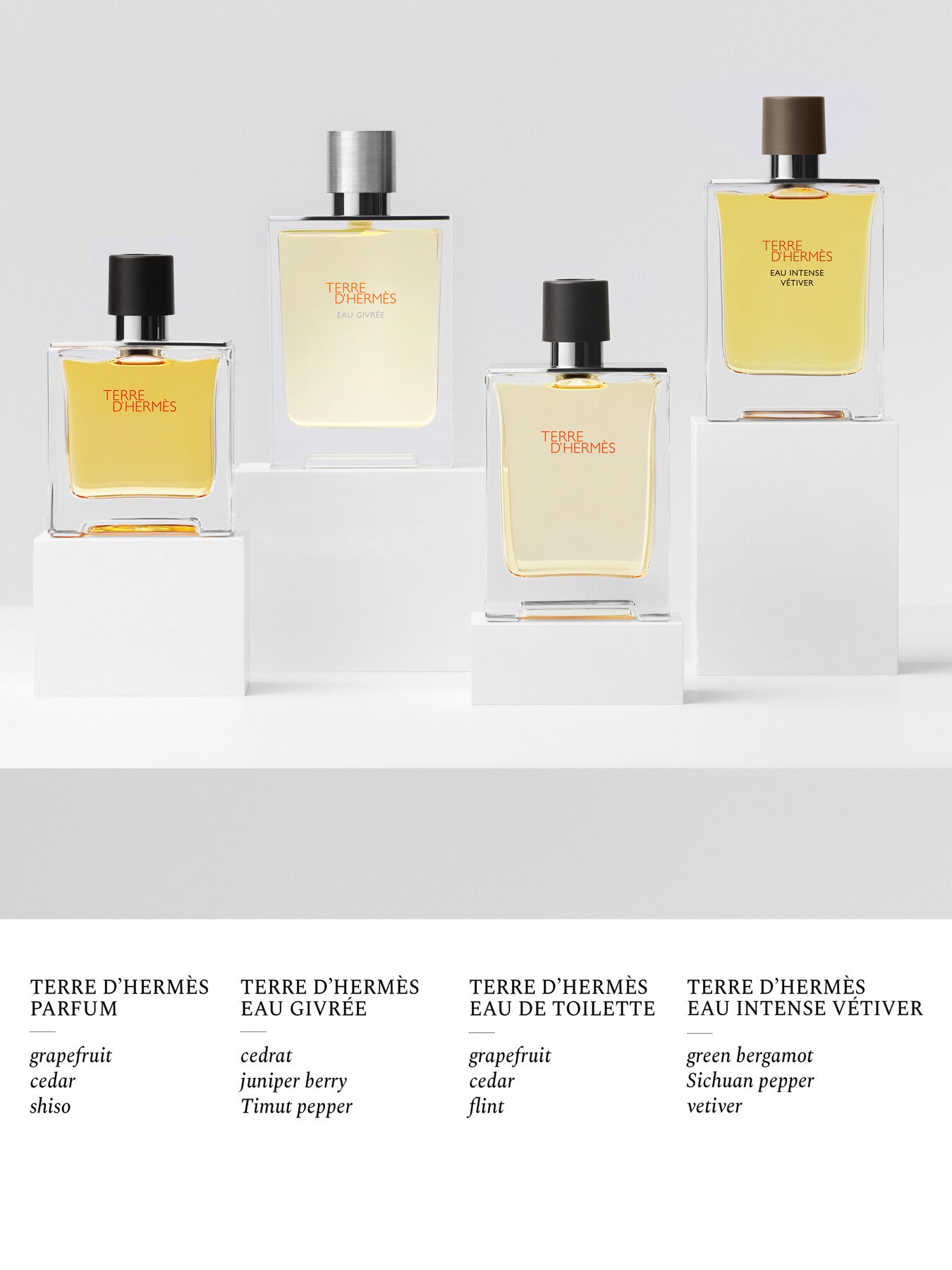 Terre dHermès Eau Intense Vétiver Eau de Parfum 50ml