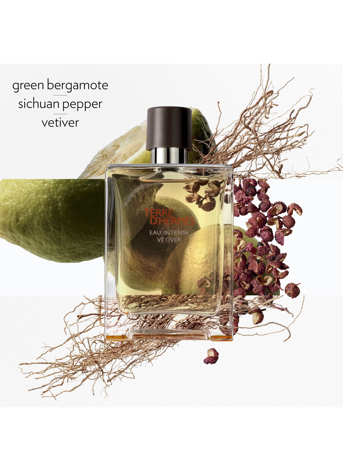 Terre dHermès Eau Intense Vétiver Eau de Parfum 100ml