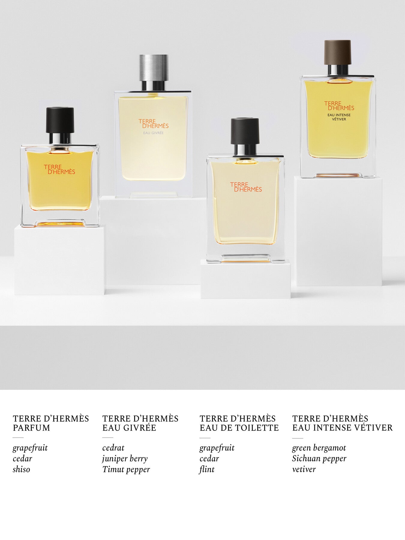 Terre dHermès Eau Intense Vétiver Eau de Parfum 100ml