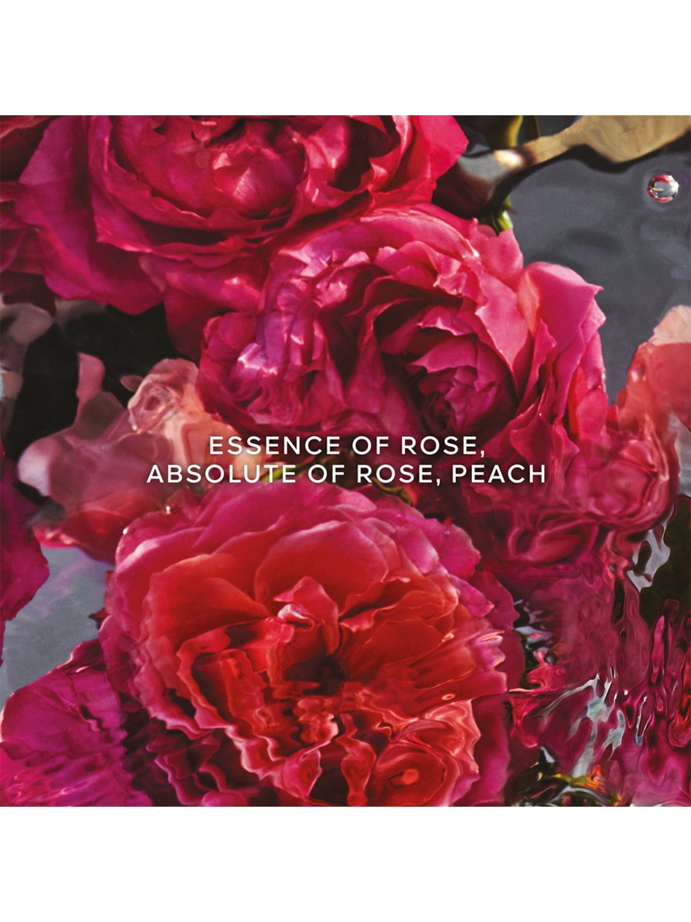 Aqua Allegoria Forte Rosa Rossa Eau de Parfum 75ml