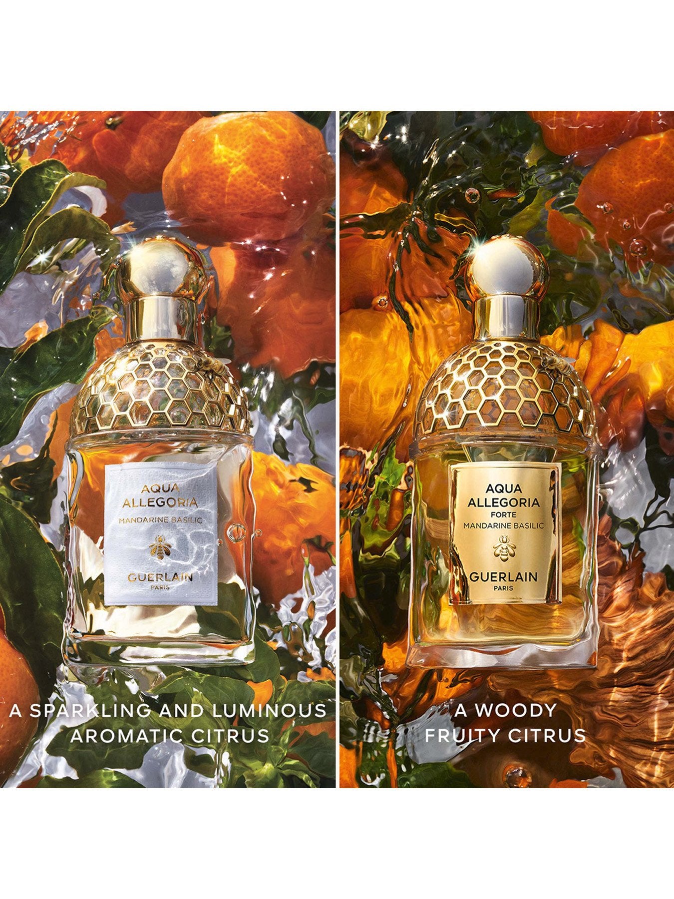 Aqua Allegoria Forte Mandarine Basilic Eau de Parfum 75ml