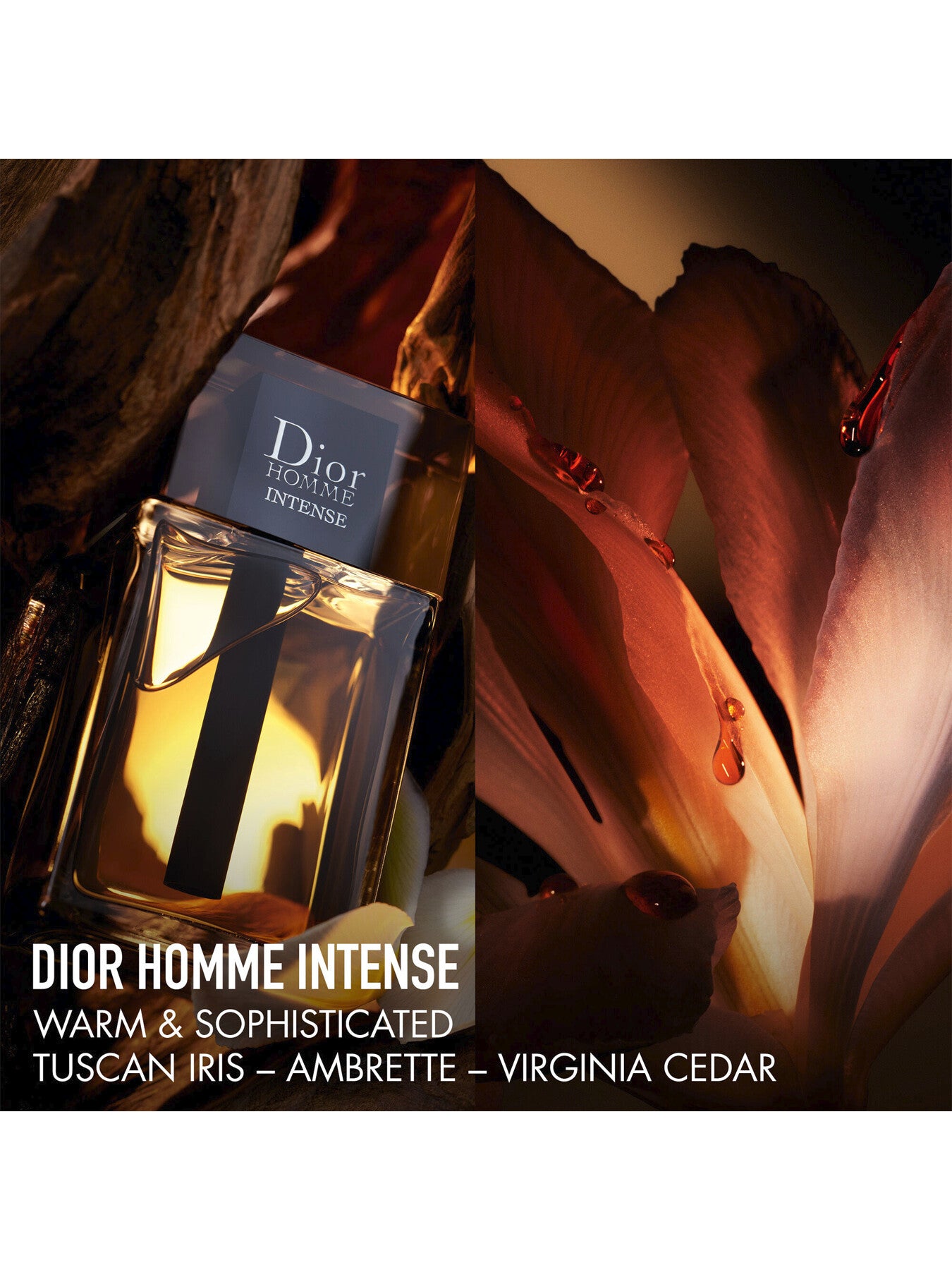 Dior Homme Intense Eau de Parfum Intense 100ml