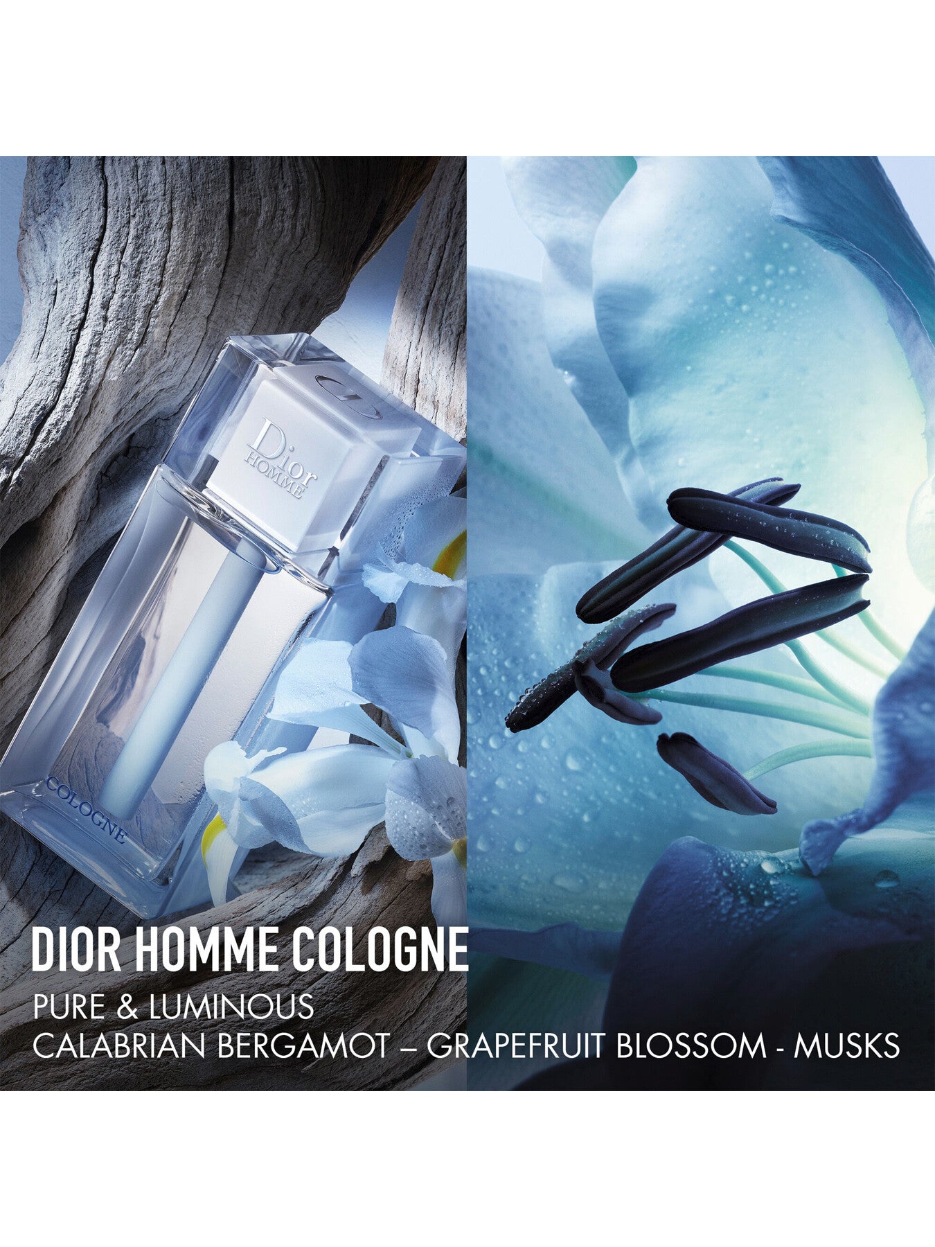 Dior Homme Cologne 75ml