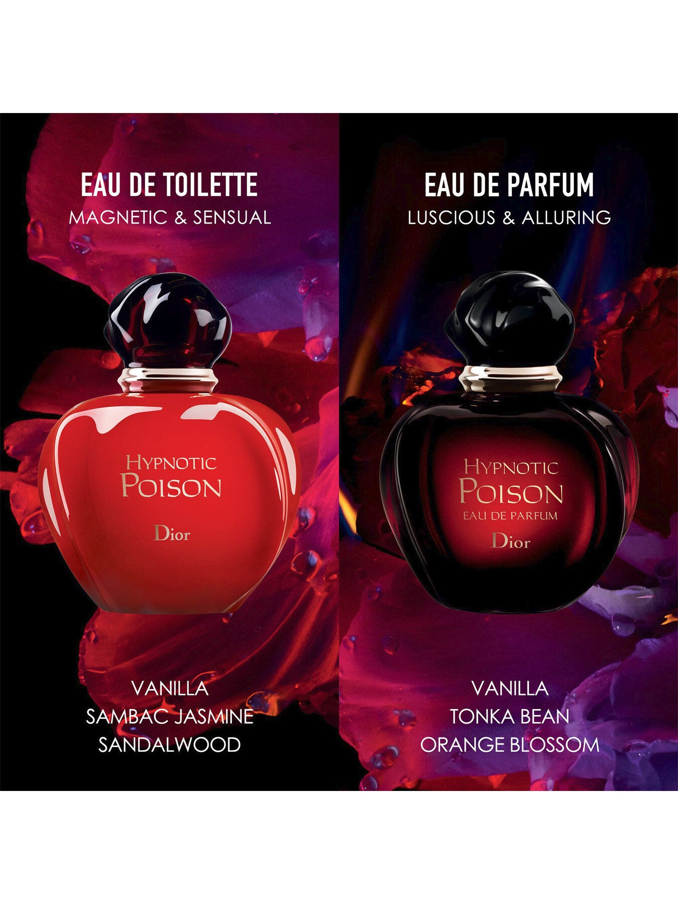 Hypnotic Poison Eau de Parfum 50ml