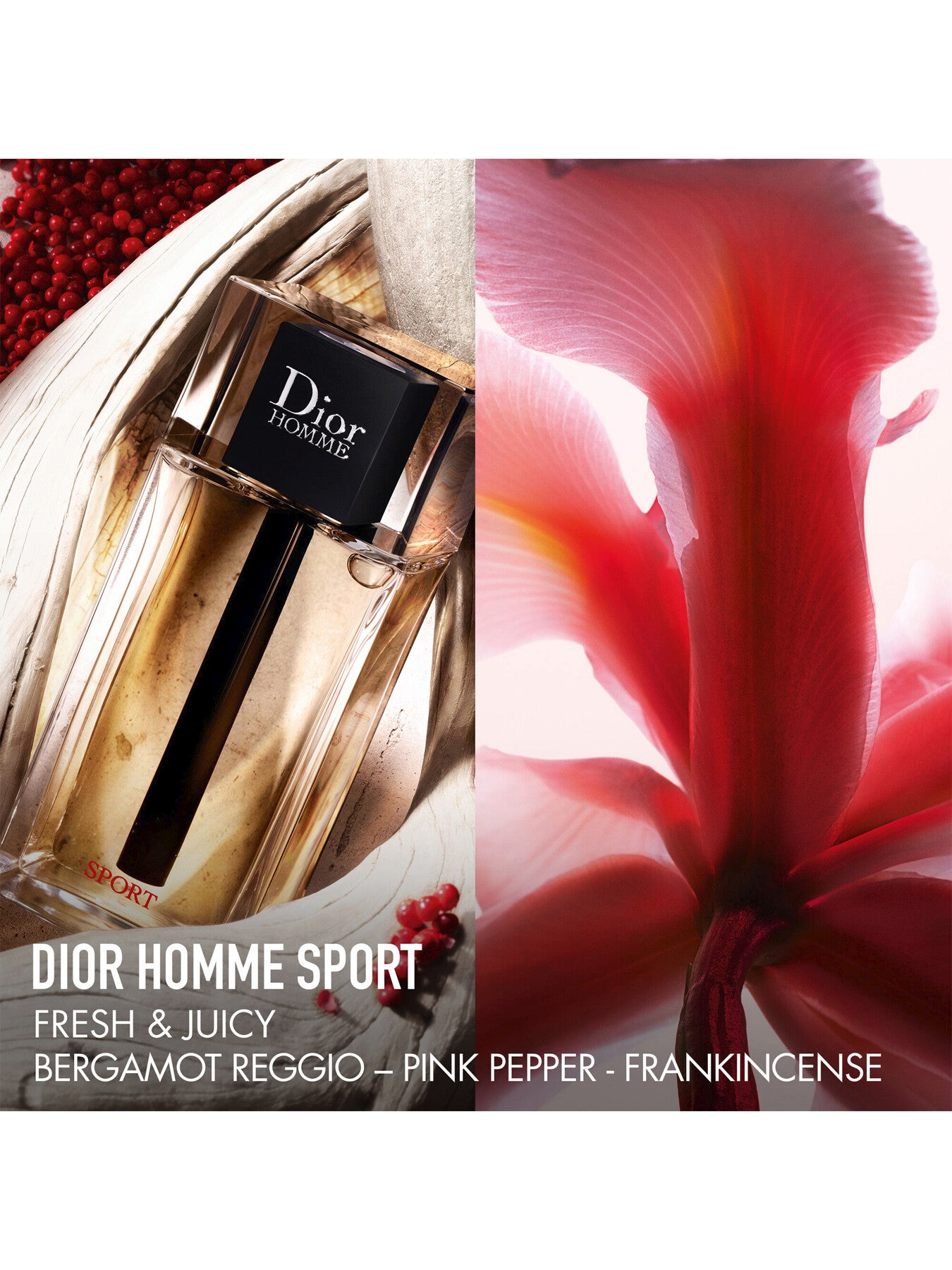 Dior Homme Sport Eau de Toilette 75ml
