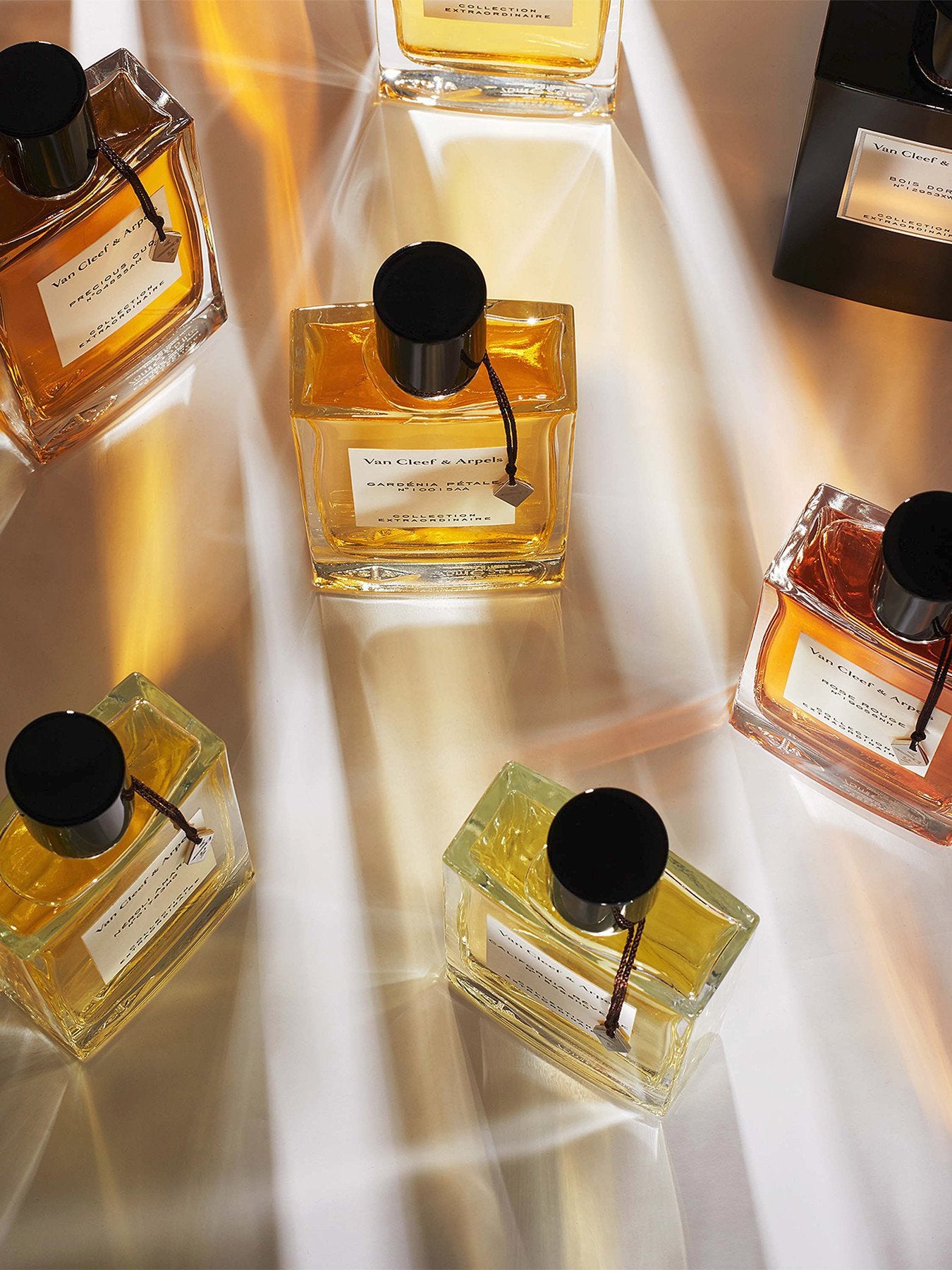 Collection Extraordinaire California Rêverie Eau de Parfum 75 ml