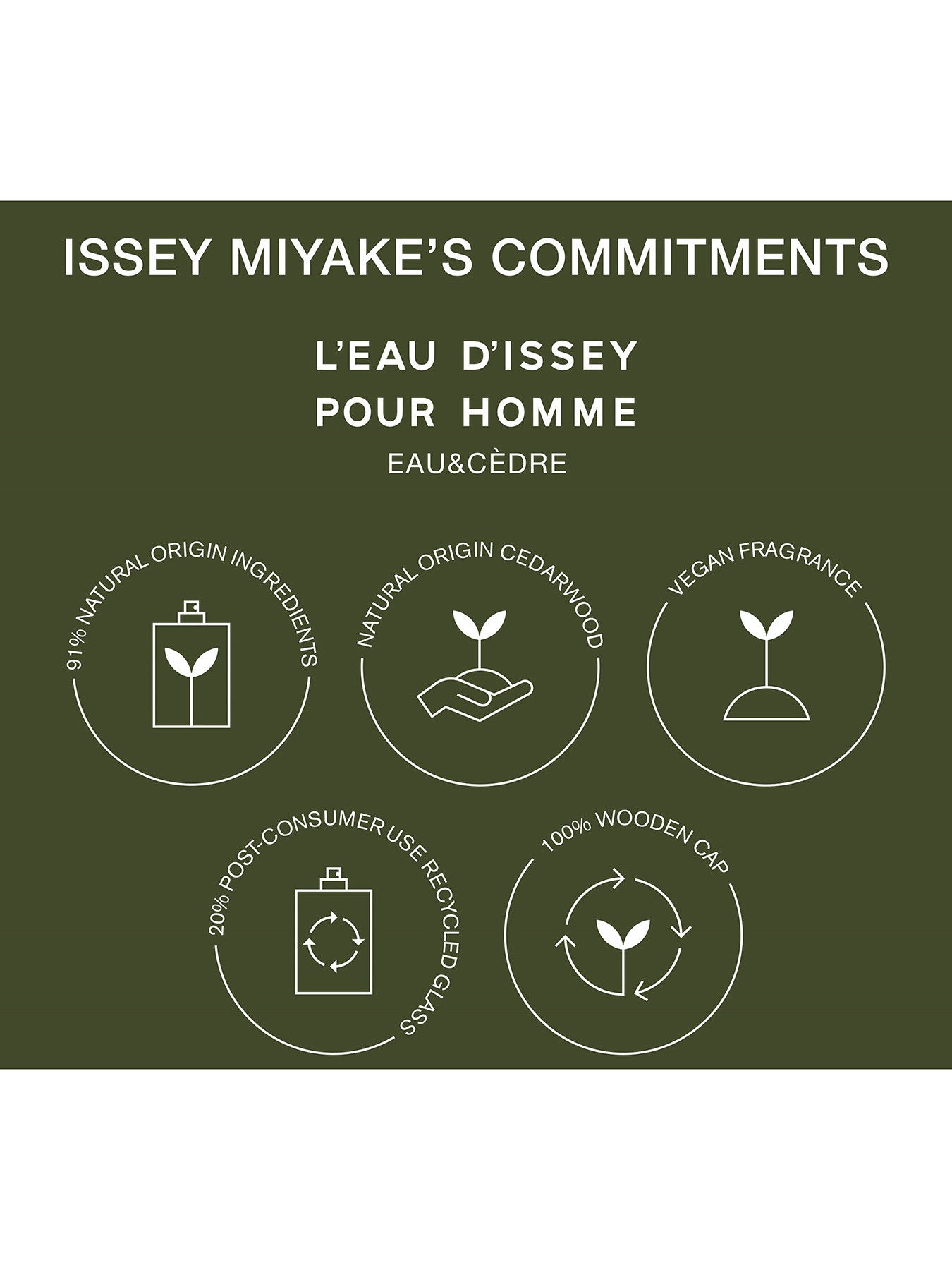L'Eau d'Issey Eau Cedre Eau de Toilette Intense 50ml