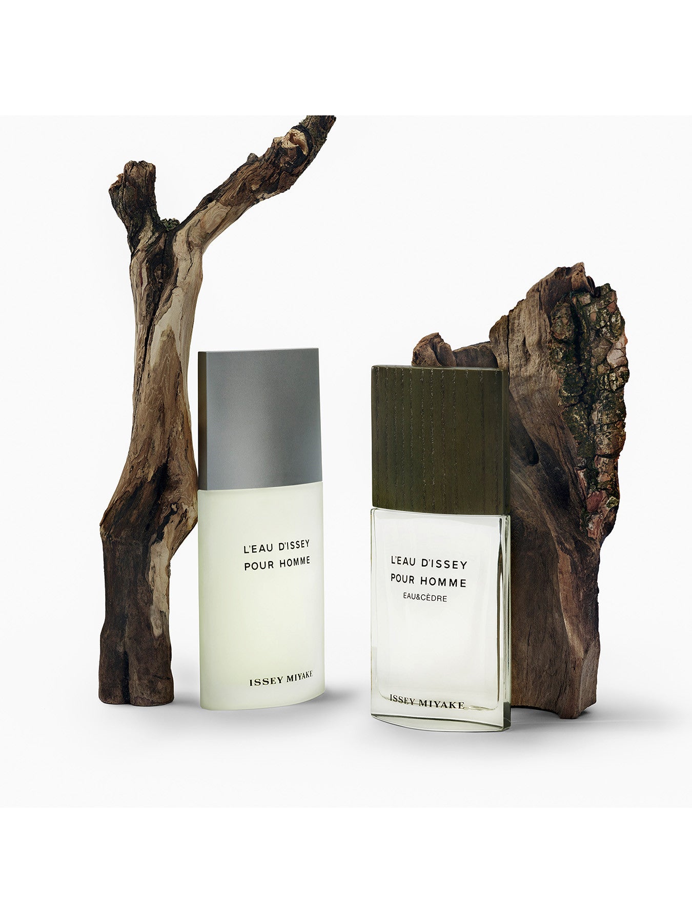 L'Eau d'Issey Eau Cedre Eau de Toilette Intense 50ml
