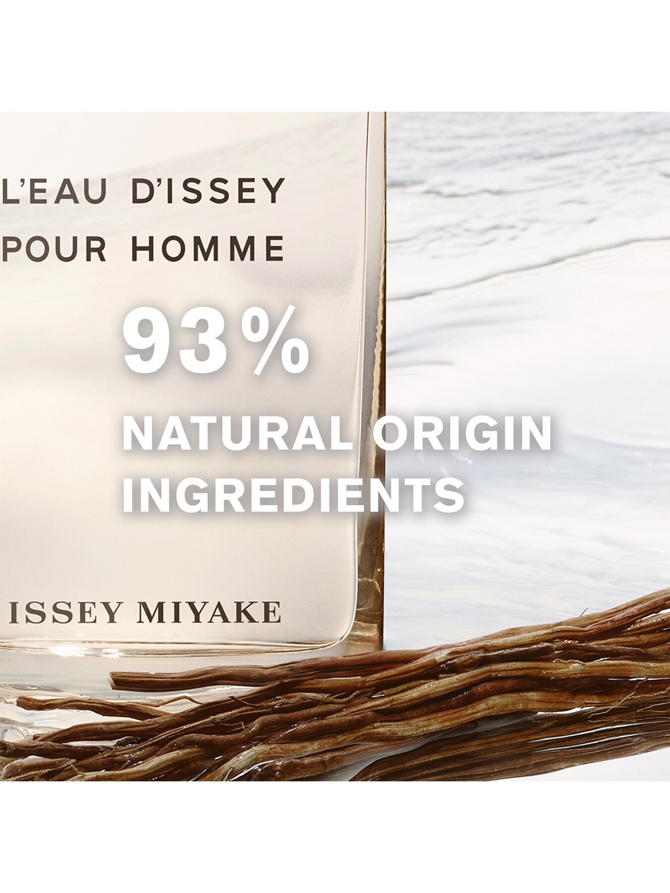L'Eau d'Issey Eau Vetiver Eau de Toilette Intense 100ml