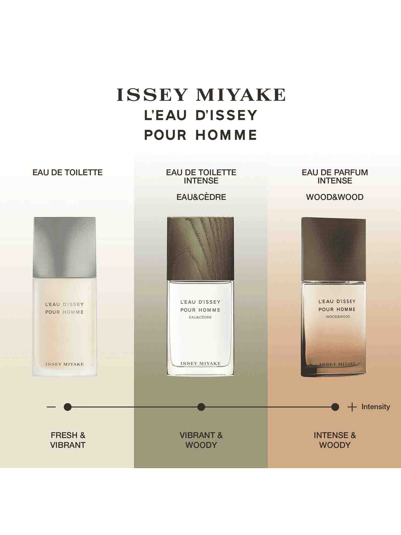 LEau dIssey pour Homme Eau de Toilette 125ml