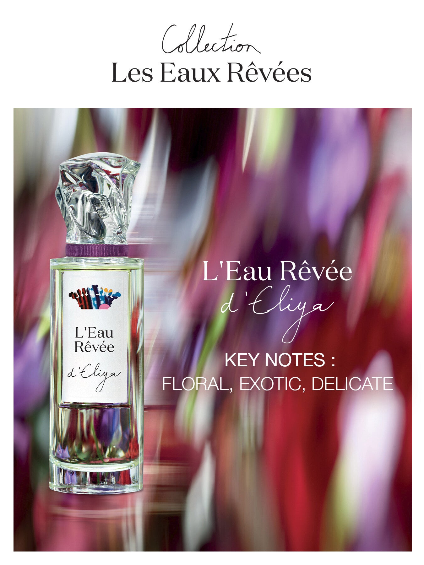 L'Eau Rêvée dEliya Eau de Toilette 50ml