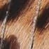 BROWN OTHER