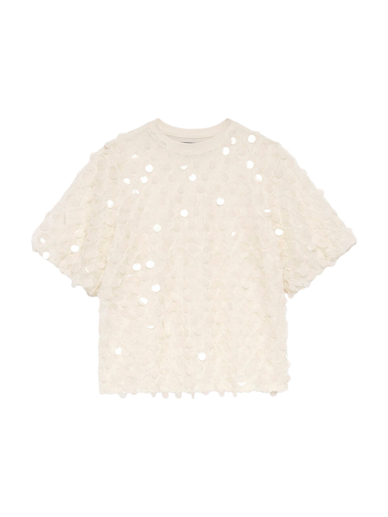Sequin Mesh T-Shirt