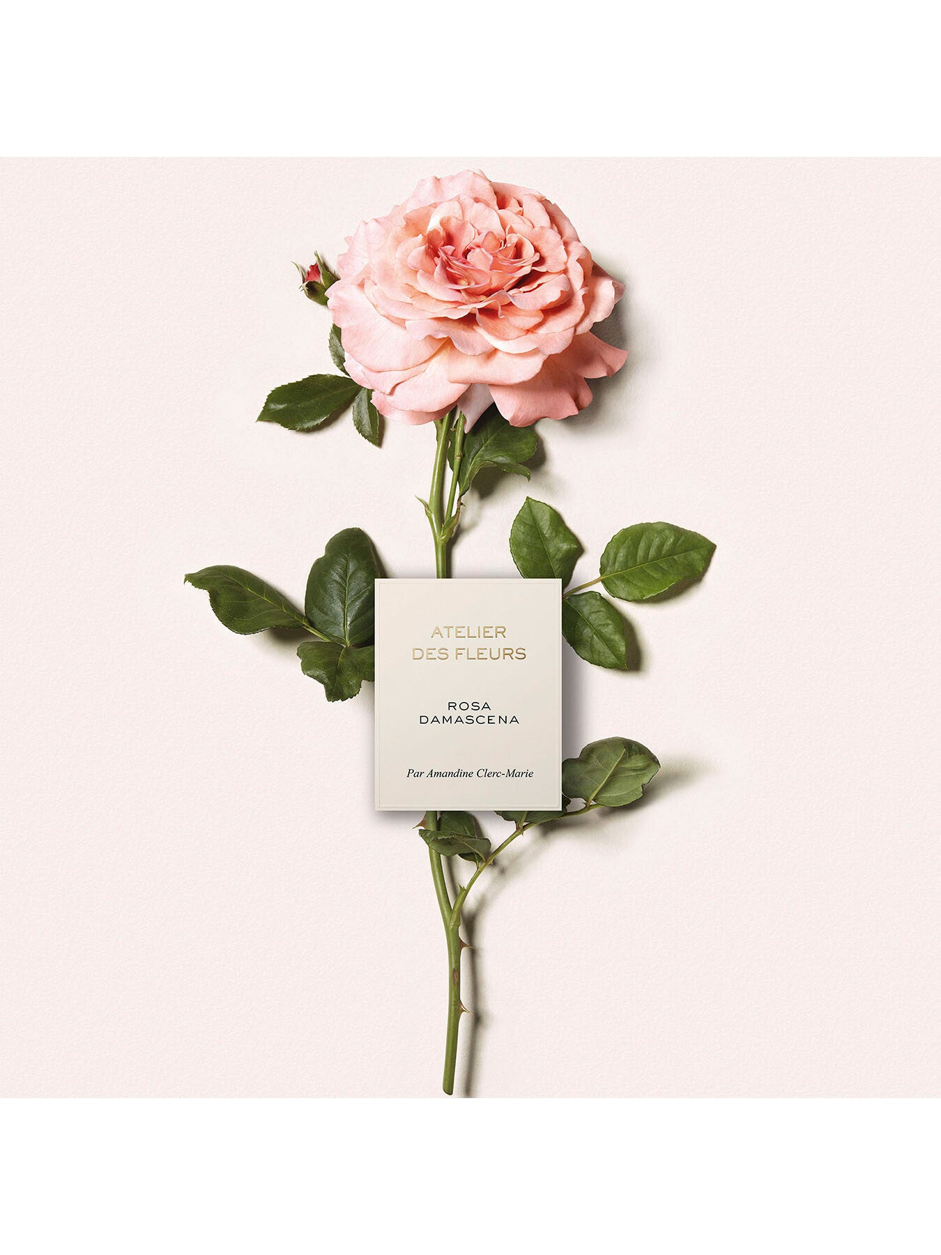 Atelier Des Fleurs Rosa Damascena Eau de Parfum 50ml