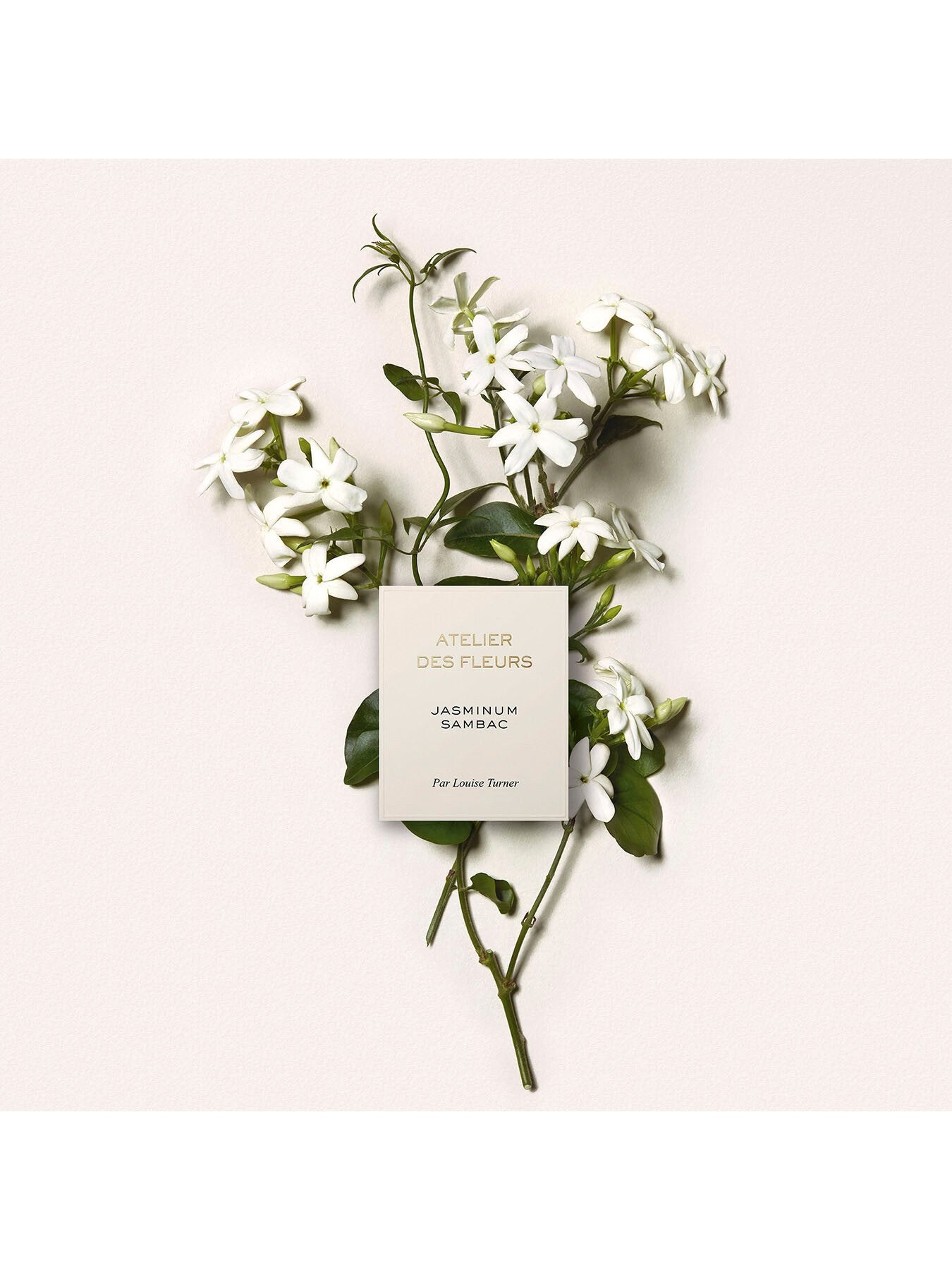 Atelier Des Fleurs Jasminum Sambac Eau de Parfum 50ml