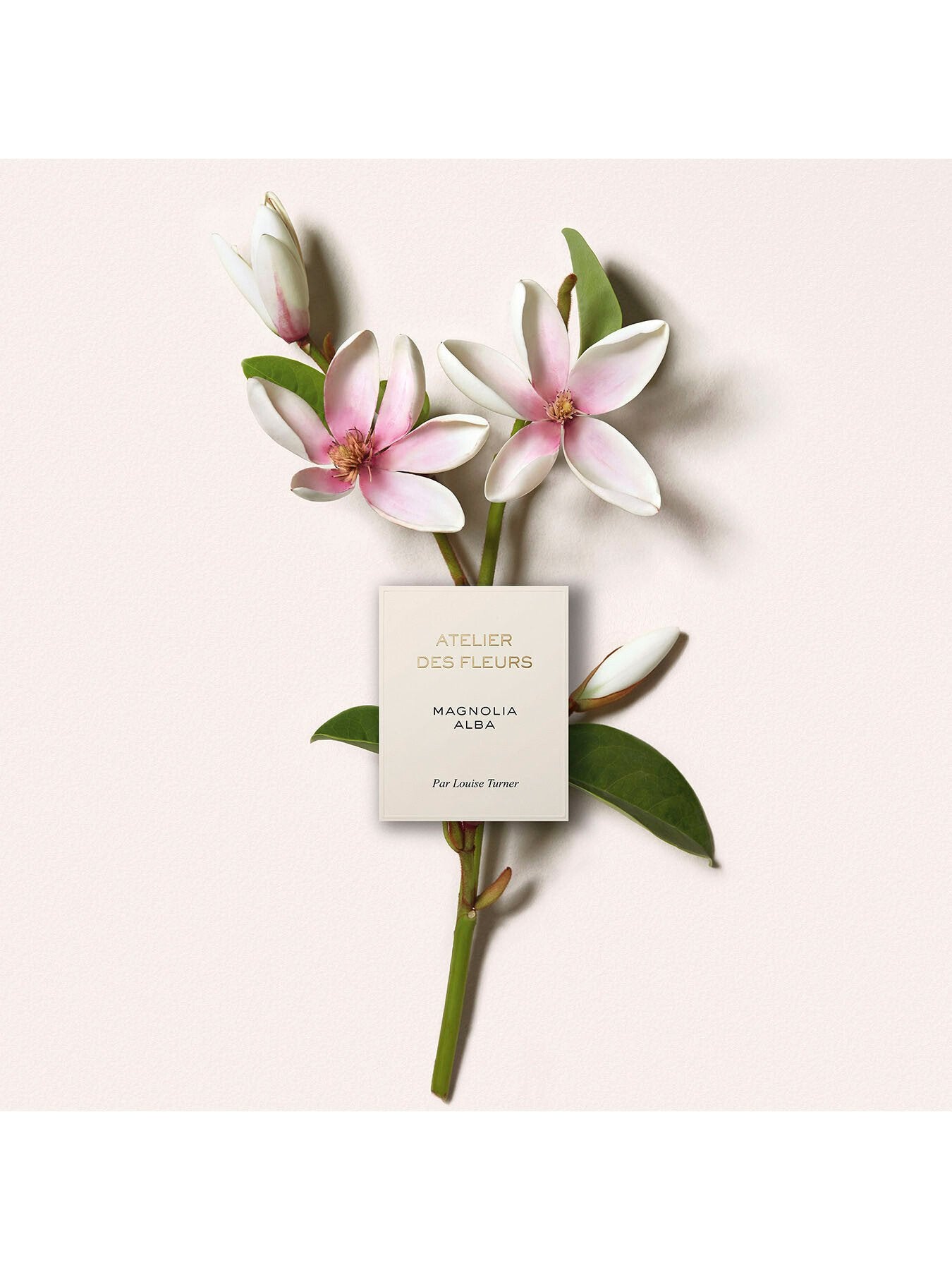 Atelier Des Fleurs Magnolia Alba Eau de Parfum 150ml