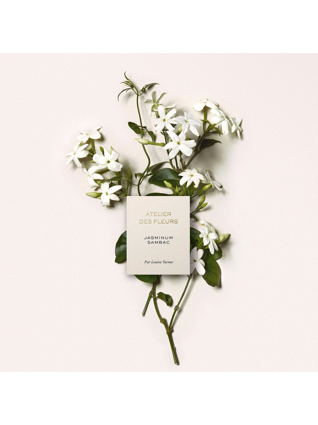 Atelier Des Fleurs Jasminum Sambac Eau de Parfum 150ml