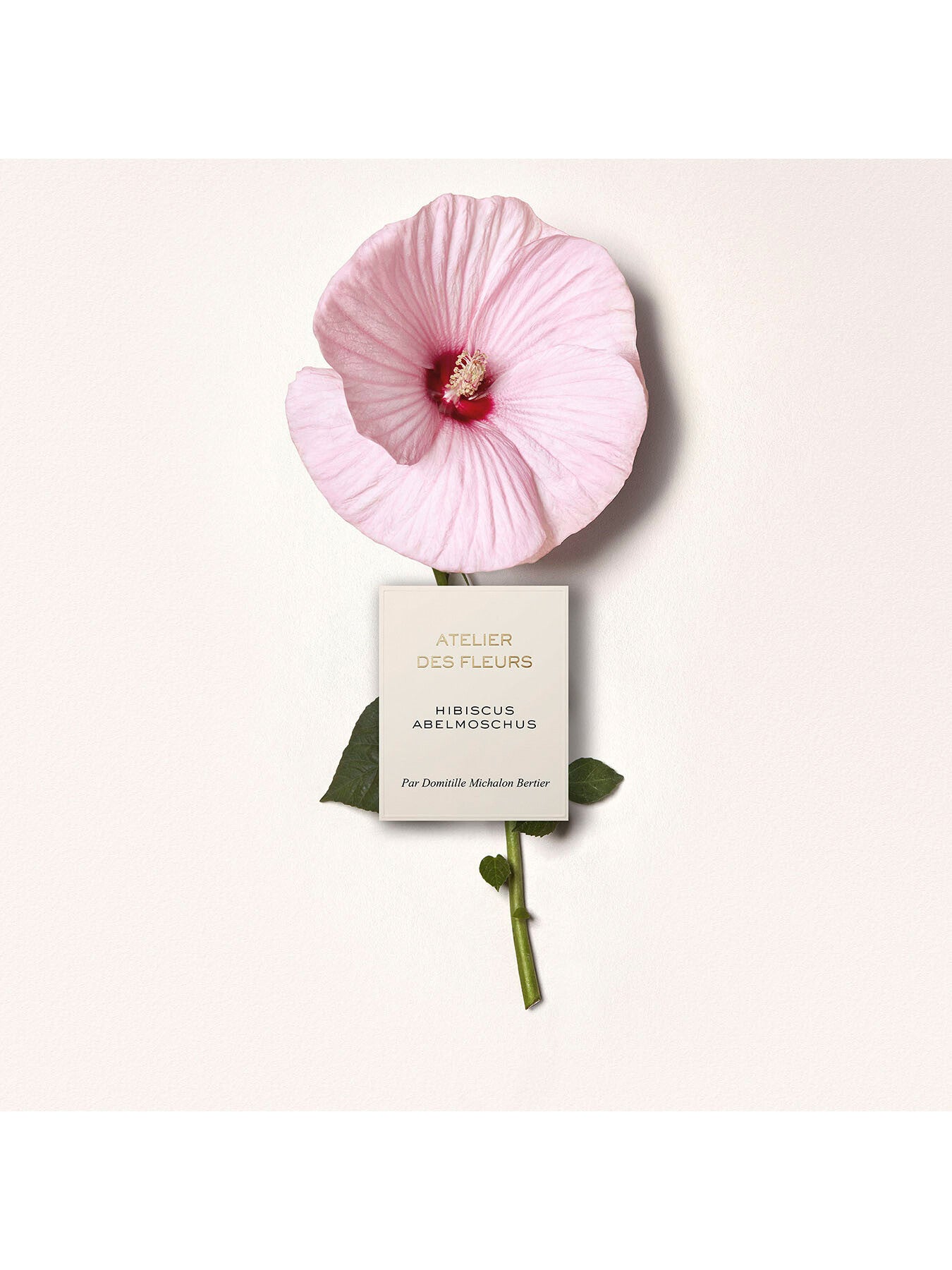 Atelier Des Fleurs Hibiscus Abelmoschus Eau de Parfum 150ml