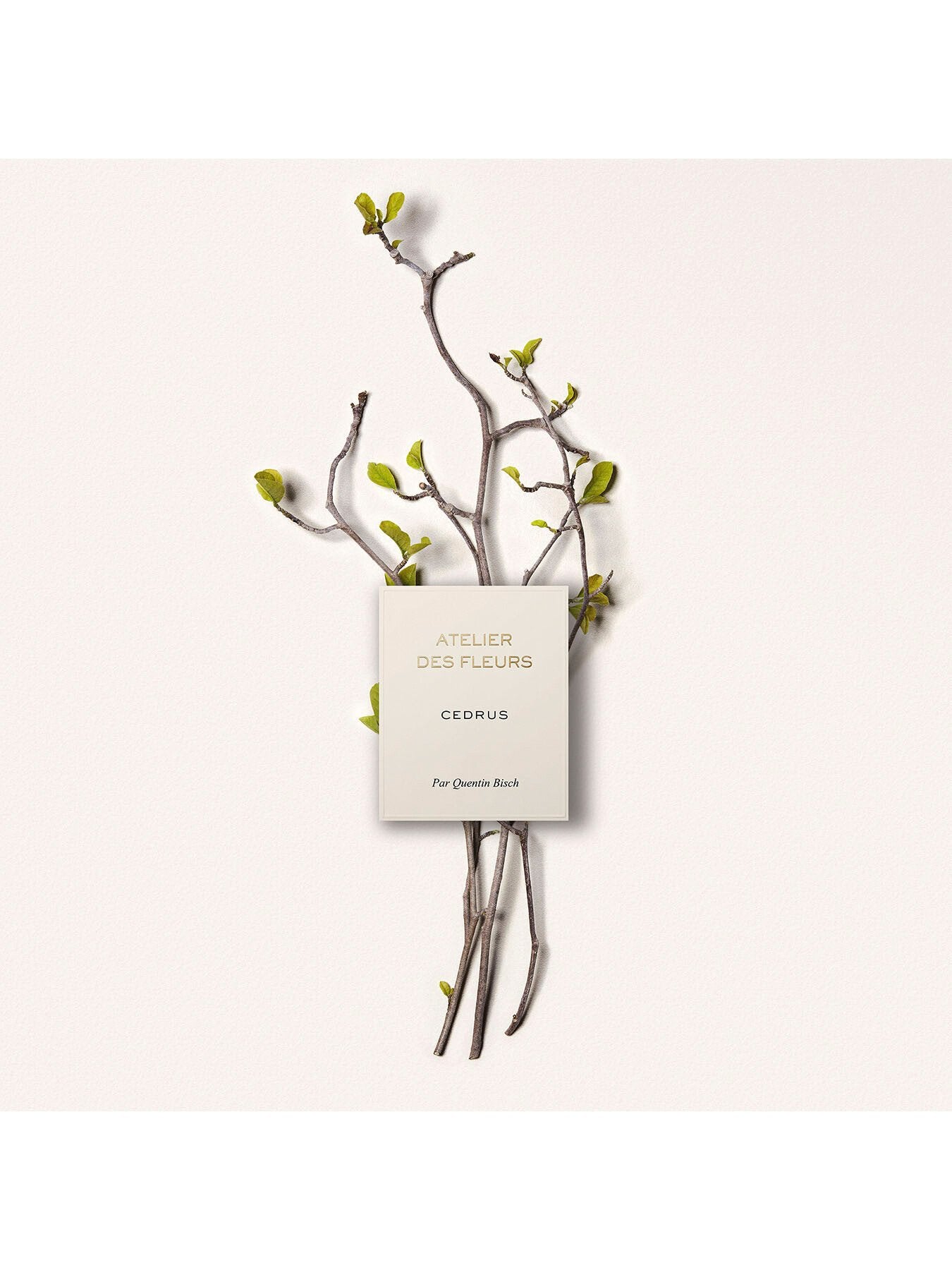 Atelier Des Fleurs Cedrus Eau de Parfum 150ml