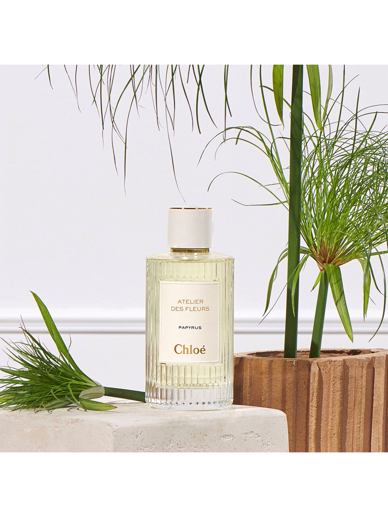 Atelier Des Fleurs Papyrus Eau de Parfum 150ml