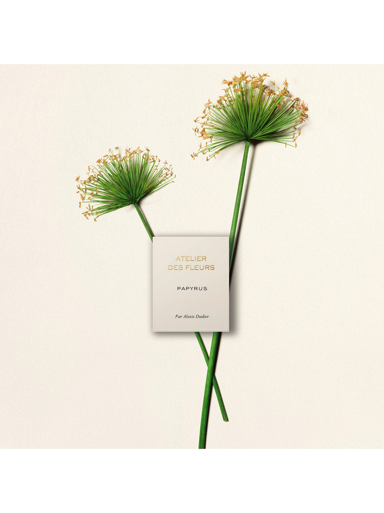 Atelier Des Fleurs Papyrus Eau de Parfum 150ml